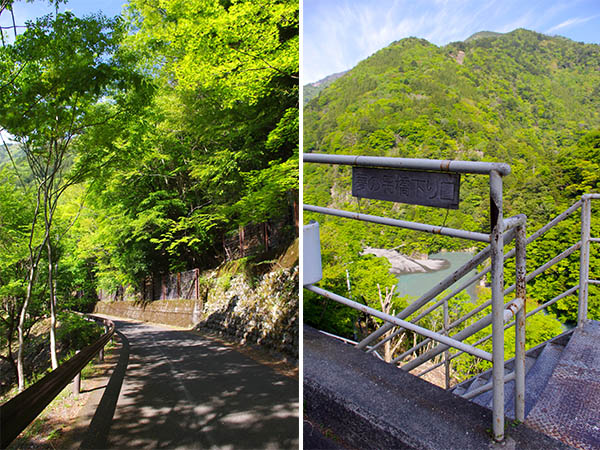 左/新緑の影が落ちる道 右/この階段を下っていく