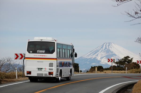 行程に余裕があるコースを選ぼう 写真・成定竜一