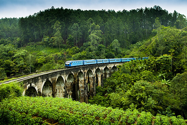 スリランカの鉄道は植民地時代、紅茶を運ぶために造られた。(ナインアーチブリッジ/スリランカ観光局提供)