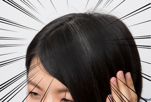 このコラムのため、1か月以上染めるのをやめたときの髪。表面に出てくる白髪は、なぜかこんな風に集中して生えてきます。