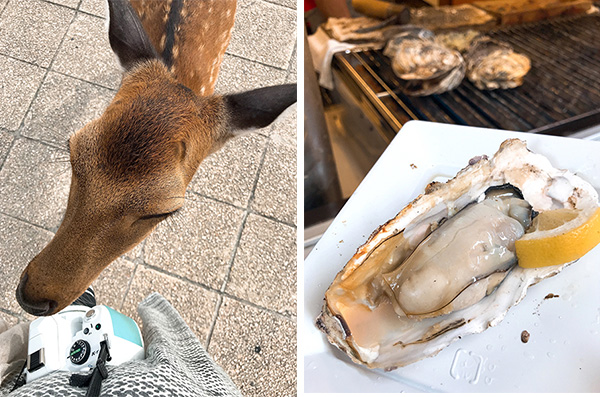 (左)カメラは食べ物ではありません(右)宮島名物・焼きガキ