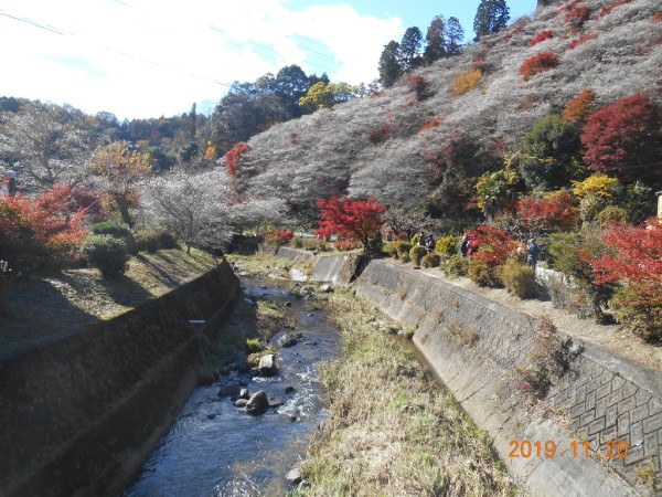 四季桜の里(川見地区)の絶景
