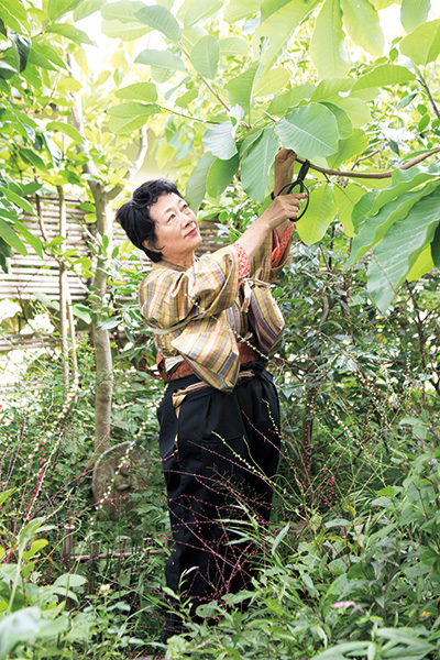 横山タカ子さんの着物