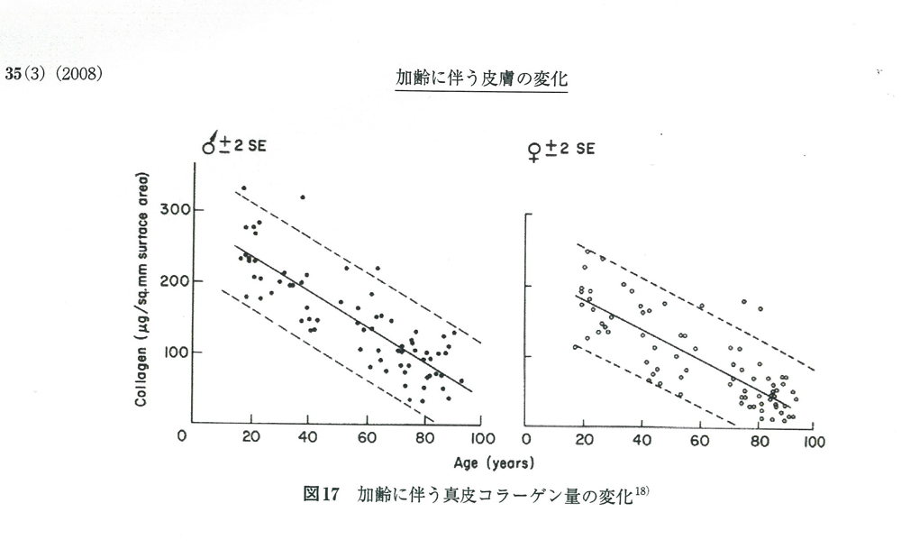 加齢に伴う皮膚とコラーゲンの変化