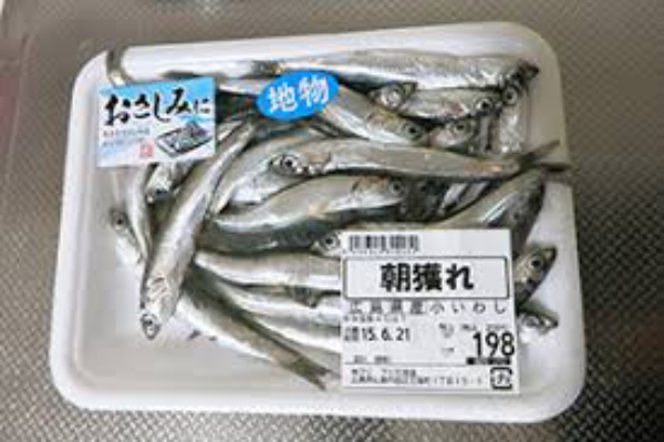 安くておいしい小イワシ