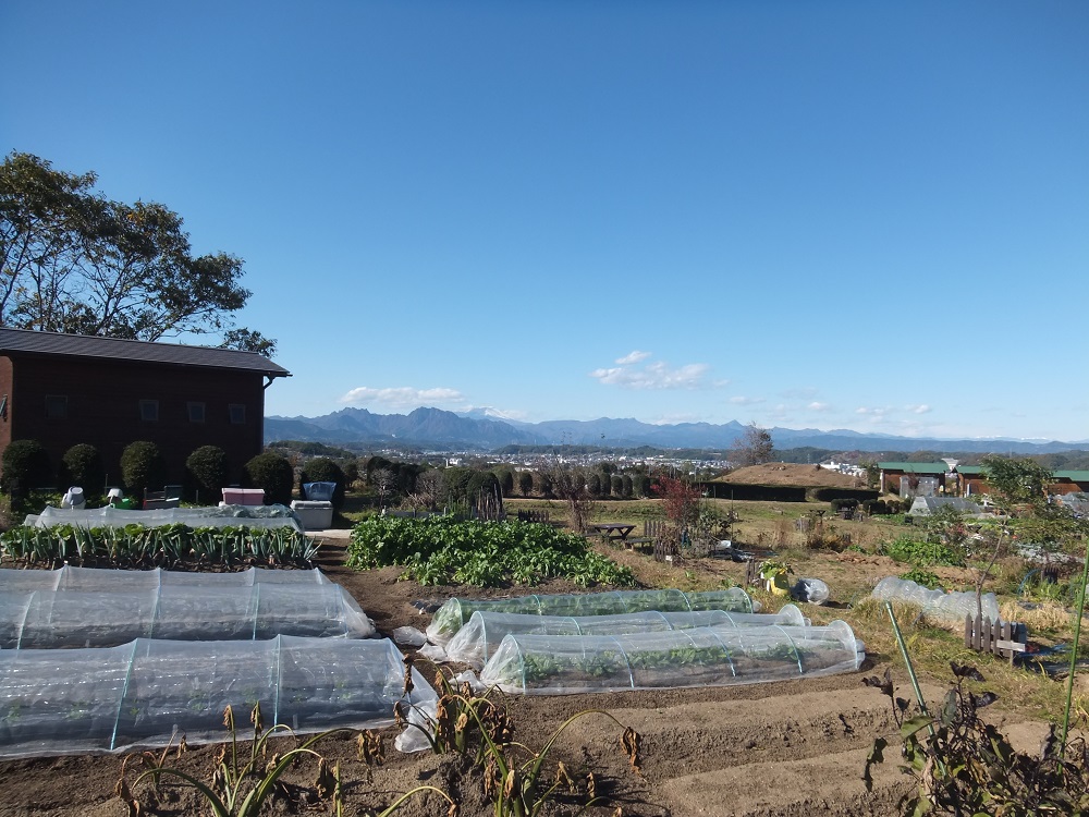 7年間続けた、50坪の農園