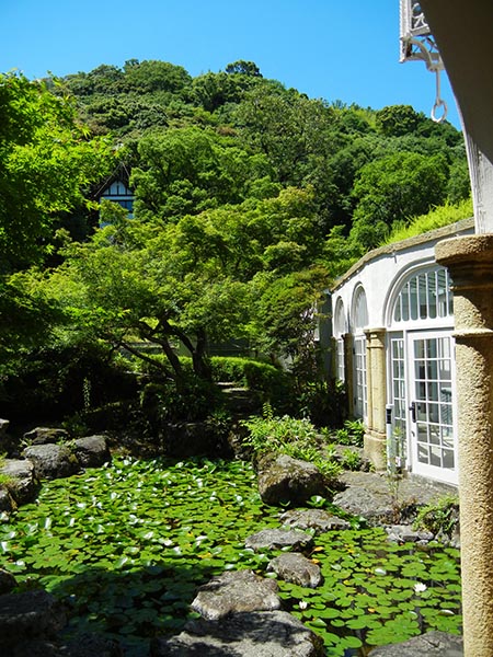 6月頃であれば、館内の池で咲く、睡蓮の花と合わせて楽しめるでしょう。