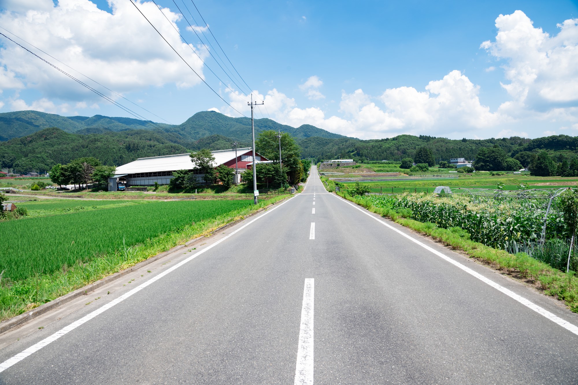 田舎の道