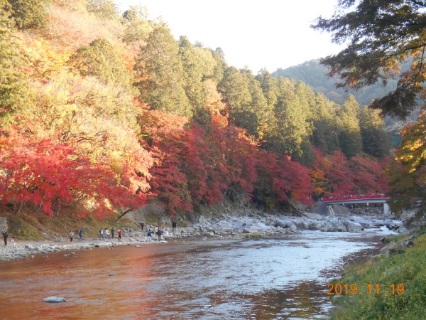 香嵐渓の紅葉