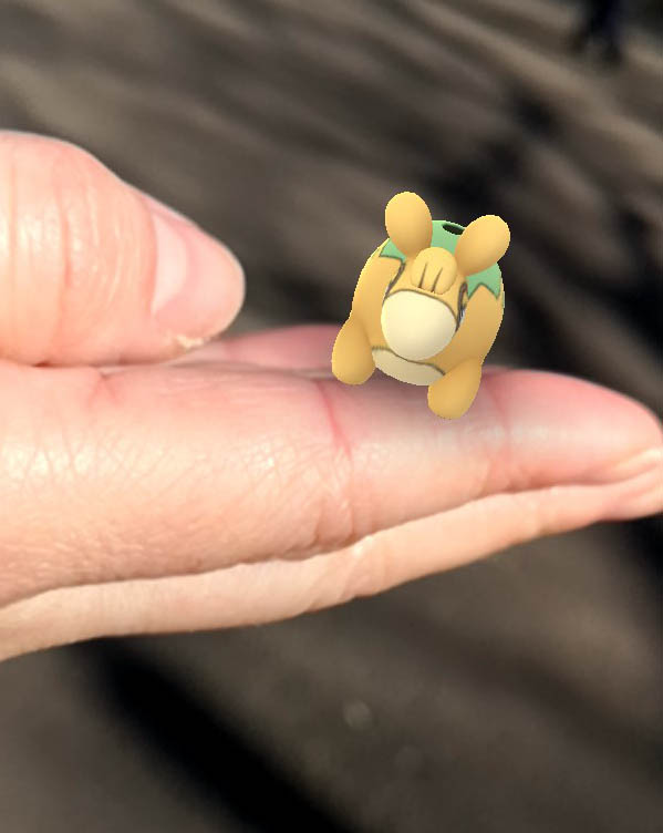 ポケモンを手に乗せた写真が撮れる!