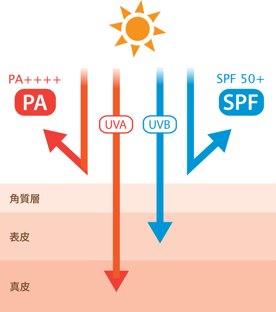 UV紫外線ケアイメージ