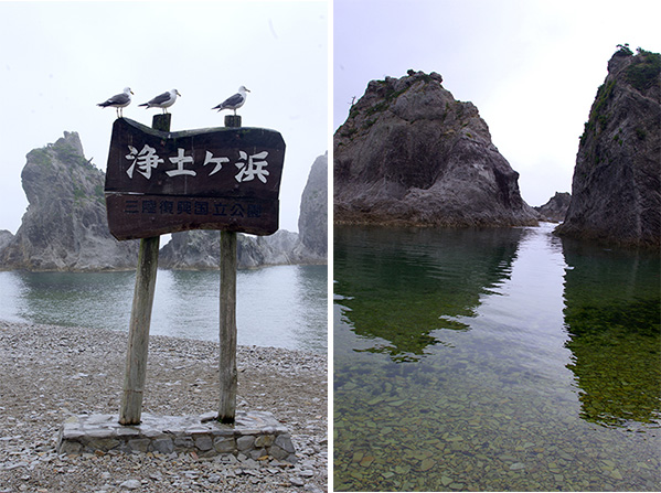 (左)行儀よく並ぶウミネコ(右)入り江の内側は浅瀬が続く