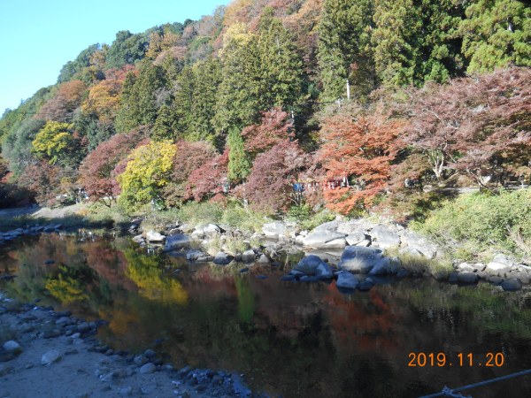 巴川に映える香嵐渓の紅葉