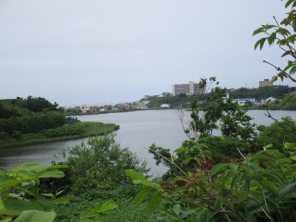 春採湖