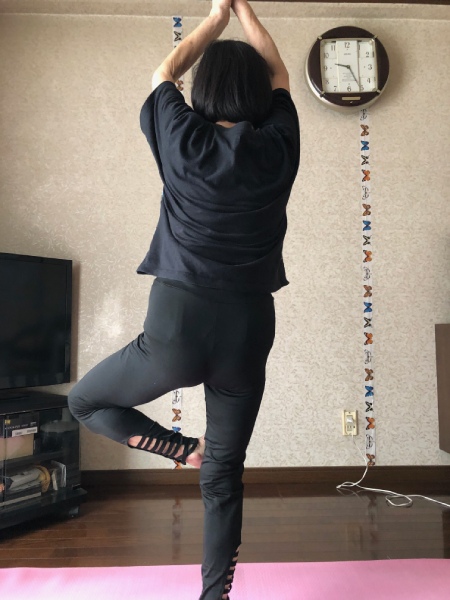体幹が弱いので挑戦しています
