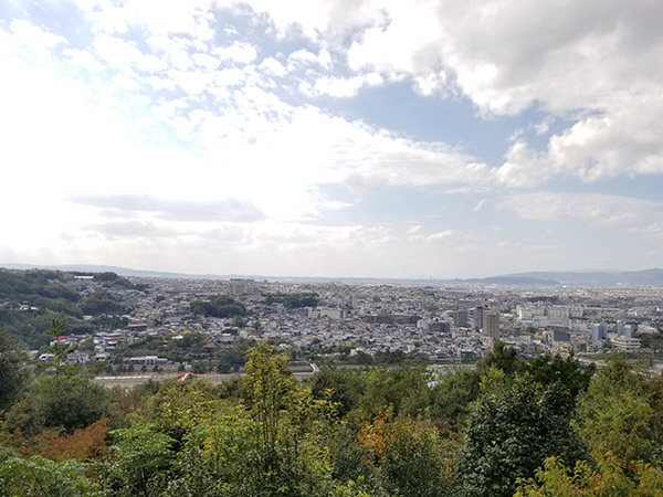 宇治市を一望できる