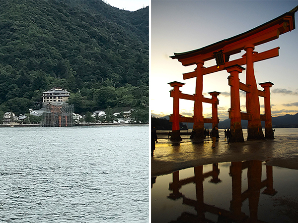 (左)足場がかけられた厳島神社の大鳥居(右)1年ちょっと前の大鳥居