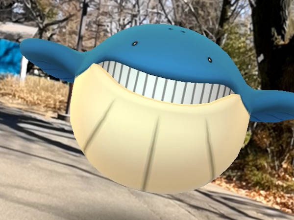 AR画面にすると現実にポケモンがいるみたい