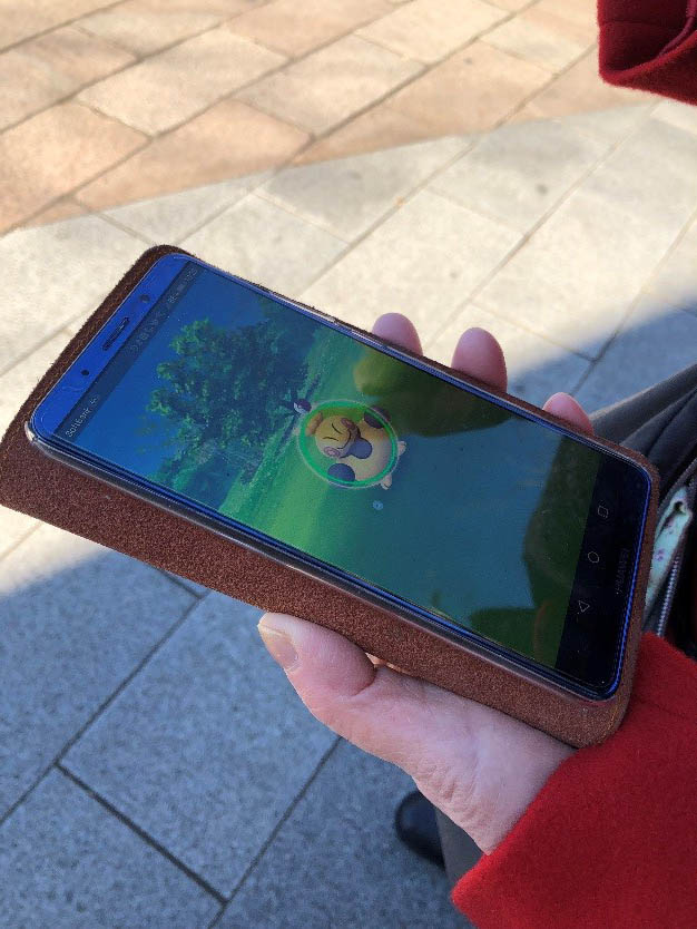 ポケモン捕獲開始