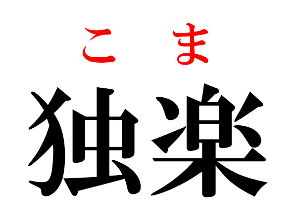 独楽