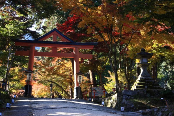 日吉大社