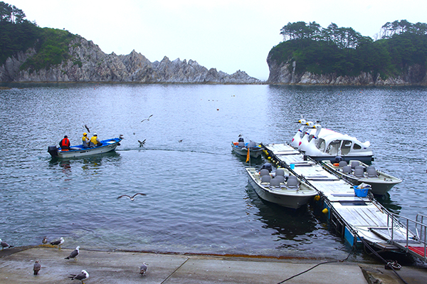 浄土ヶ浜マリンハウスのさっぱ船乗り場